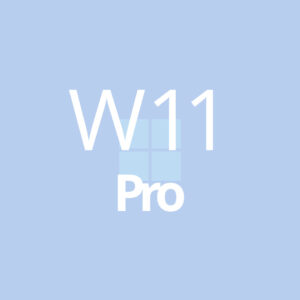 Windows 11 Pro OEM Product Key